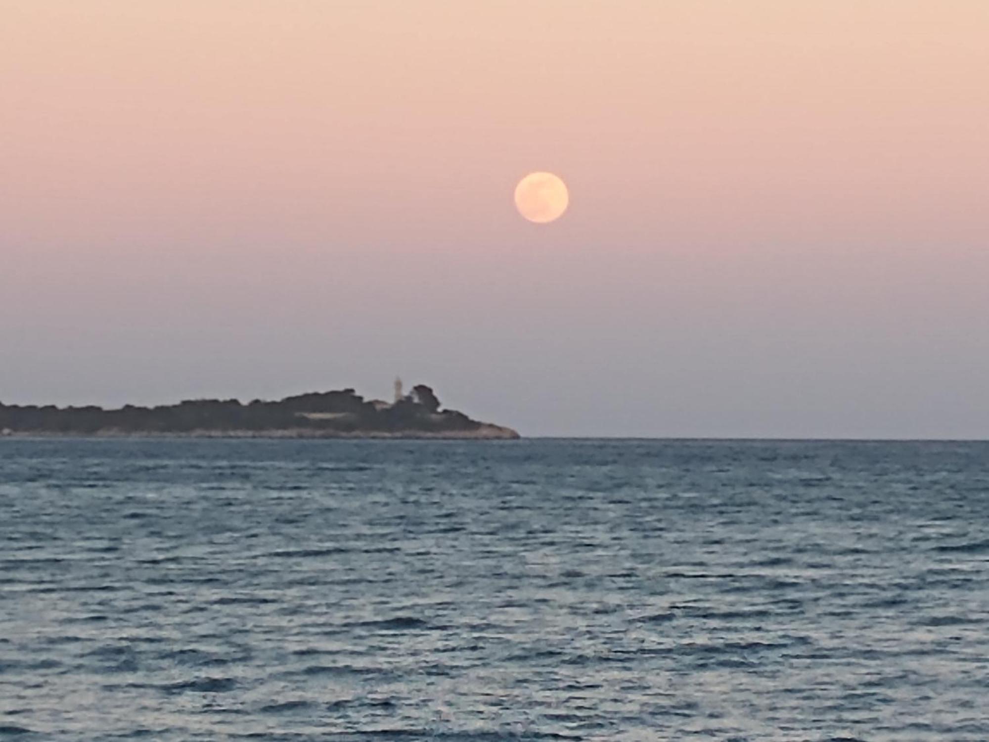 Gola Estada 1A Port de Pollença Værelse billede